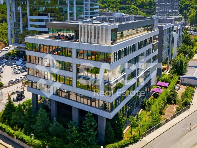 Seba Office Boulevard